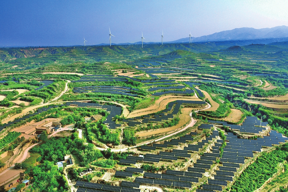 平陆：荒山披“铠甲” 绿电送万家